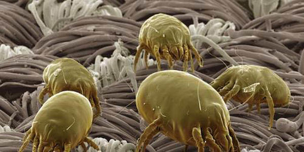 /uploads/image/2020/10/10/9c10a8aec82320f3ccd27b5ce600db4a.jpg u=2056151311,507514361&fm=26&gp=0.jpg